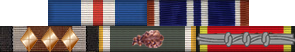 Genesisfleet/Ship Awards