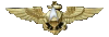 Fighter Pilot Qualified